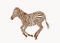 Graphical vintage zebra running ,sepia background, vector illustration Royalty Free Stock Photo