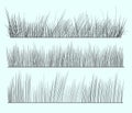Hand drawn grass Royalty Free Stock Photo