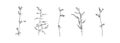 Hand drawn grass collection. Set of flowers outlines. Black isolated plants sketch vector on white background. Herb wildflower Royalty Free Stock Photo