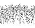 Hand drawn grass pattern Royalty Free Stock Photo