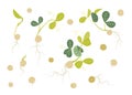 Hand drawn green peas microgreens