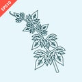 Hand drawn green poison ivy leaves design vector flat isolated illustration Royalty Free Stock Photo