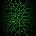 Hand Drawn green toxic web colored doodle graphic column pattern