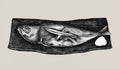 Hand drawn grilled mackerel fish Royalty Free Stock Photo