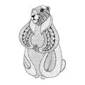 Hand drawn Groundhog for adult coloring pages in doodle