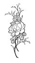 Hand drawn group peony rose flower for decorate.