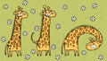 Hand drawn grunge illustration of three giraffes on floral background