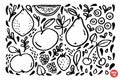 Hand drawn grungy fruits and berries set. Graphic linear food images. Vector naive one color clip-arts with fruits