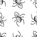Hand drawn halloween attributes, black spiders