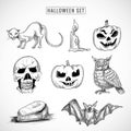 Hand drawn halloween elements set sketch design Royalty Free Stock Photo