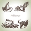 Hand drawn halloween set Royalty Free Stock Photo