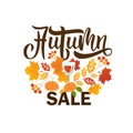 Hand drawn Happy Thanksgiving lettering typography poster