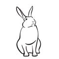 Hand drawn hare, outline rabbit graphic image. Animal pet illustration, black isolated on white backgroud