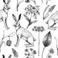 Hand-drawn hares background design. Vintage woodland flowers sketches. Seamless spring pattern. Forest plant and wild flowers Royalty Free Stock Photo