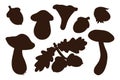 Hand Drawn Harvest Shadows Set. Oak leaves, acorns, hazelnut, mushrooms. Forest decorative silhouettes collection for