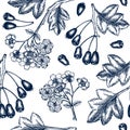 Hand drawn hawthorn with berries and flowers vector backdrop in engraved style. Wild berries seamless pattern. Hand drawing.