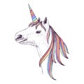 Hand drawn head of unicorn Royalty Free Stock Photo