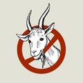 Hand drawn head of a white goat, peeking out of the prohibitory road sign. Colored hand-painted vector drawing