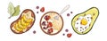 Hand drawn healthy food illustration. Oatmeal porridge, avocado with egg, fruit sandwich