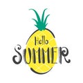 Hand Drawn Hello Summer Letter with Pineapple Background