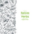 Hand drawn herbs and spices background. Vintage organic indian kitchen and asian spices vector cooking concept