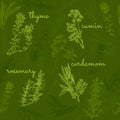 Hand-drawn herbs and spices collection seamless pattern