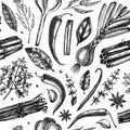 Hand-drawn herbs and spices sketches background. Hand-sketched food backdrop in color. Vintage aromatic plants seamless pattern in