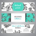 Hand drawn herbs and wild flowers banner Vintage collection of Plants Vector illustrations in sketch style