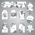 Hand drawn herbs and wild flowers tags and labels Vintage collection of Plants Vector illustrations in sketch style