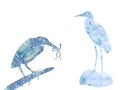 Hand drawn heron and bittern with a frog in its beak isolated