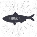 Hand drawn herring icon fish in black and white color with textured background. Design element for emblem, menu, logo