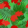 Hand drawn hibiscus, tropical leaves Royalty Free Stock Photo