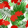 Hand drawn hibiscus, tropical leaves white background Royalty Free Stock Photo