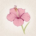 Hand Drawn Hibiscus