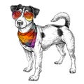 Hand Drawn Hipster Style Sketch Of Cute Funny Jack Russell Terrier In Glasses And With Bandana. Vector Illustration