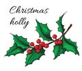 Hand drawn Holly. Christmas mistletoe plant.