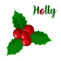Hand drawn holly, ilex branch with berry and leaves, mistletoe.