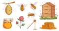 Hand Drawn Honey Bee. Beekeeper Engraving, Bees Honeycomb And Vintage Beekeeping Farm Vector Illustration Set