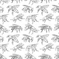 Hand drawn honey bee endless pattern. Seamless vector print with outline insect drawn by ink. Black realistic animal drawing