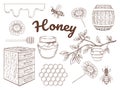 Hand drawn honey collection. Set of monochrome objects. Vector illustration. Isolated on white Royalty Free Stock Photo