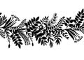 Hand drawn horizontal border of herbs and plants, vector