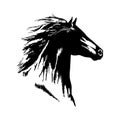 Hand drawn horse head black and white vector isolated design Royalty Free Stock Photo