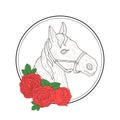 Hand Drawn Horse Head Profile and Red Rose Flowers Vector Illustration Royalty Free Stock Photo