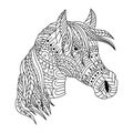 Hand drawn of horse head in zentangle style