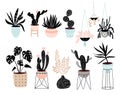 Hand drawn house plants collection with different tropical plants
