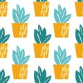 Houseplants seamless pattern Royalty Free Stock Photo