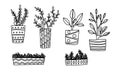Hand drawn houseplants. Vector illustration of potted plants Royalty Free Stock Photo
