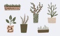 Hand drawn houseplants. Vector illustration of potted plants Royalty Free Stock Photo