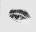 Human Eye Of A Old Man With Thick Eyebrows - Detailed Pencil Sketch