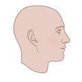 Hand Drawn Human Head in Profile, Colored Variant Royalty Free Stock Photo
